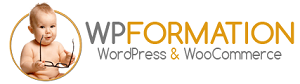 LOGO-WP-FORMATION-300