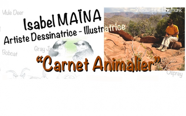 Projet Carnet Animalier, Isabel Maïna