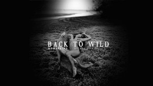 Image de couverture Back to Wild