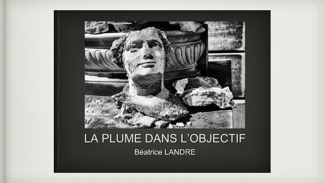 La plume dans l'objectif, Béatrice Landre, Ulule